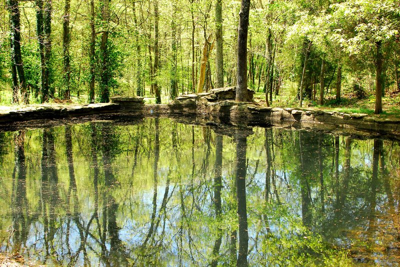 Cheekwood