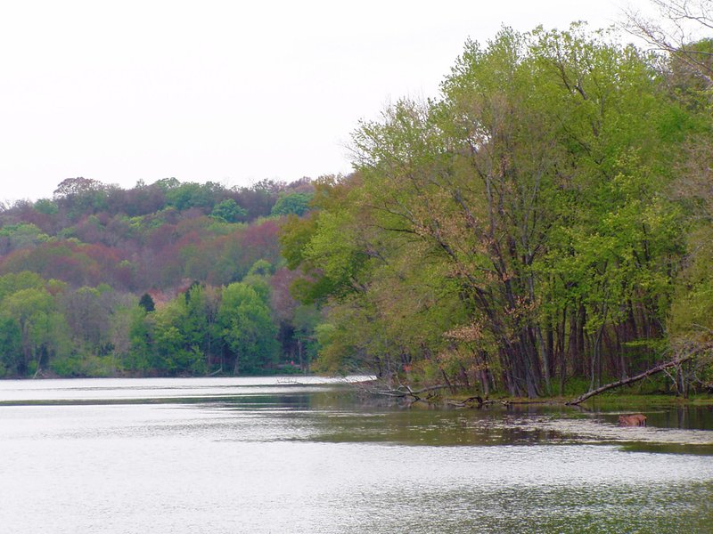 Radnor Lake State Park