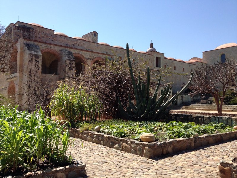 Jardín Etnobotánico de Oaxaca