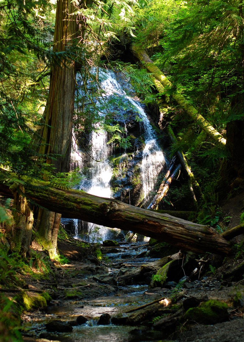 Cascade Falls in Moran State Park