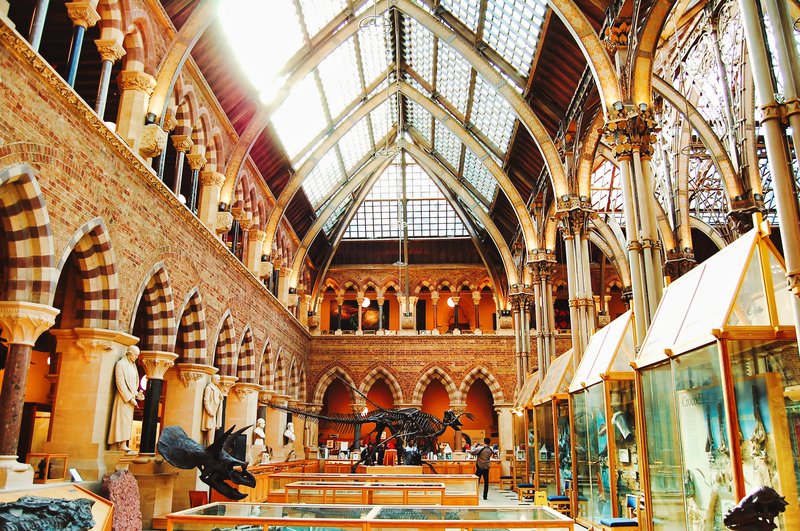 Oxford University Museum of Natural History