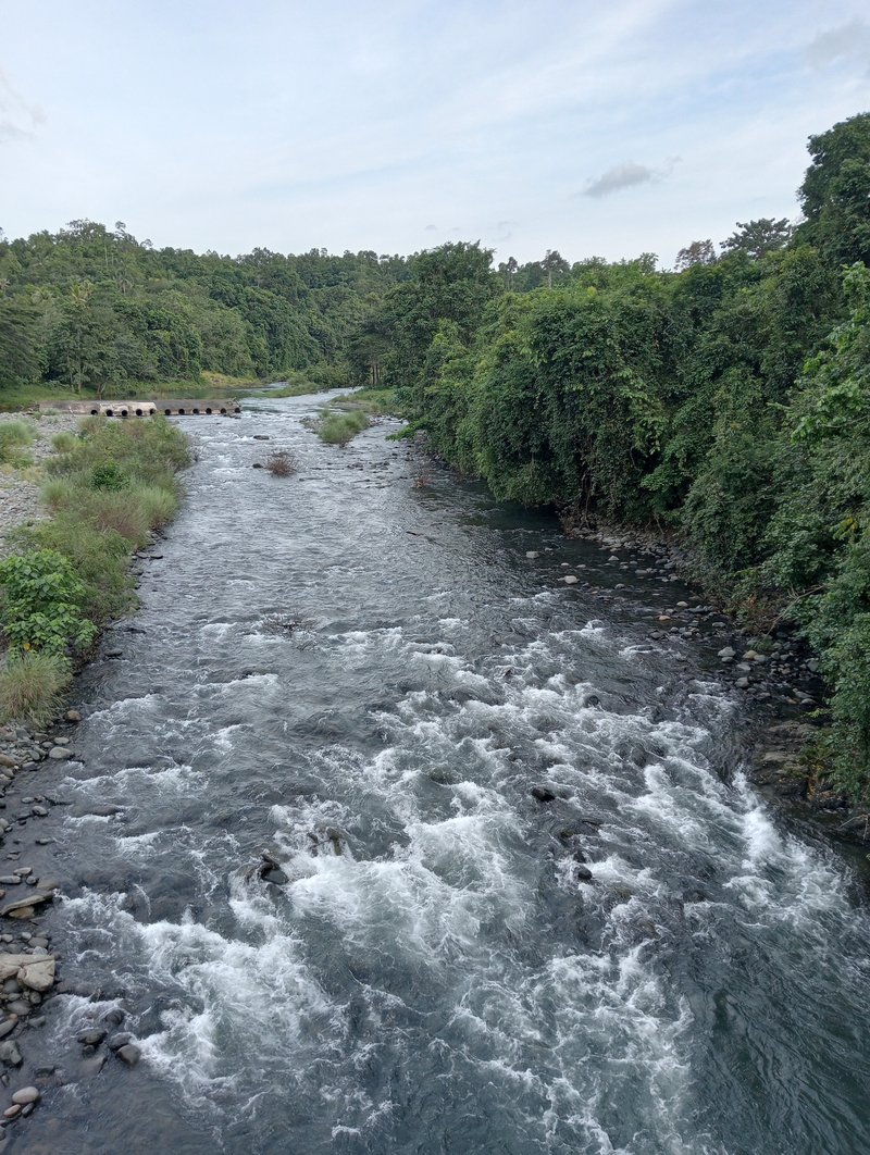 Iwahig River Puerto Princesa