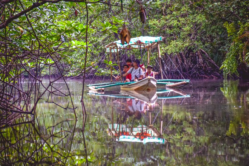 Sabang mangrove forest paddle tour