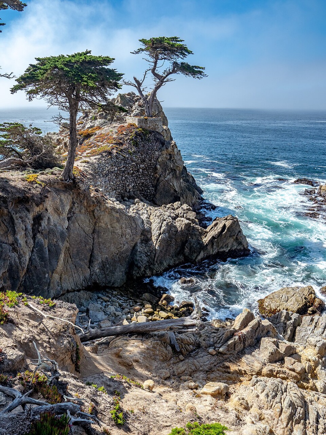 The Lone Cypress on 17-Mile Drive Pebble Beach