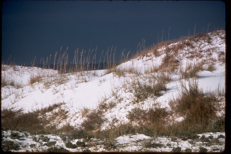 Gulf Islands National Seashore white sand beach