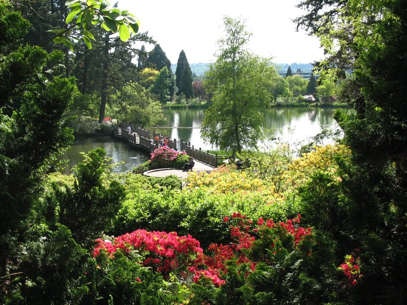 Crystal Springs Rhododendron Garden