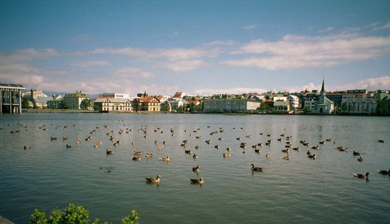 Tjörnin