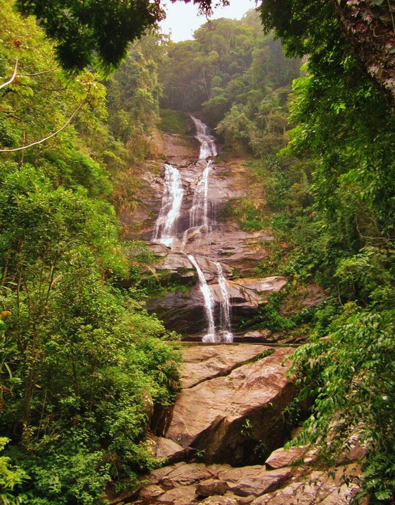Cascatinha Taunay – Tijuca National Park waterfall