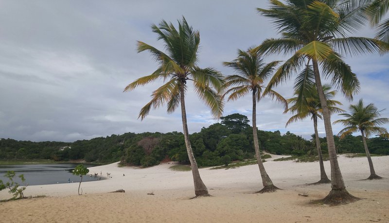 Lagoa do Abaeté black water lagoon white dunes