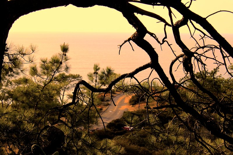Pacific Ocean view from Torrey Pines