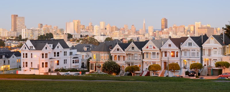 Painted Ladies