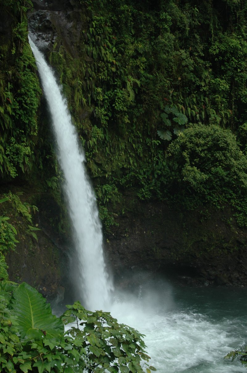 La Paz Waterfall cascading through cloud forest canyon