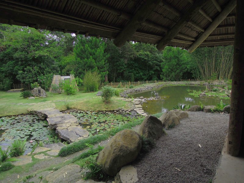 Japanese garden at Lankester Botanical Garden