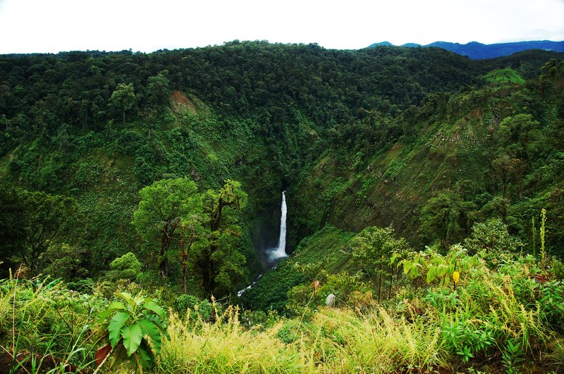 Sarapiquí River waterfall in rainforest