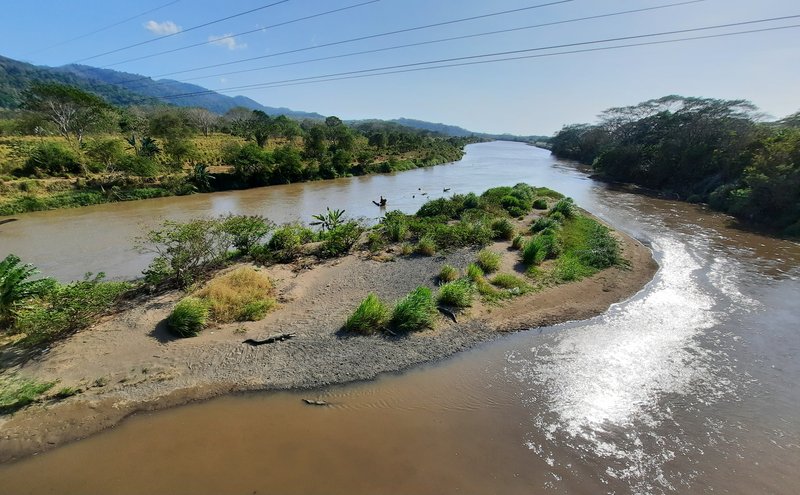 Large American crocodile on Tarcoles River bank