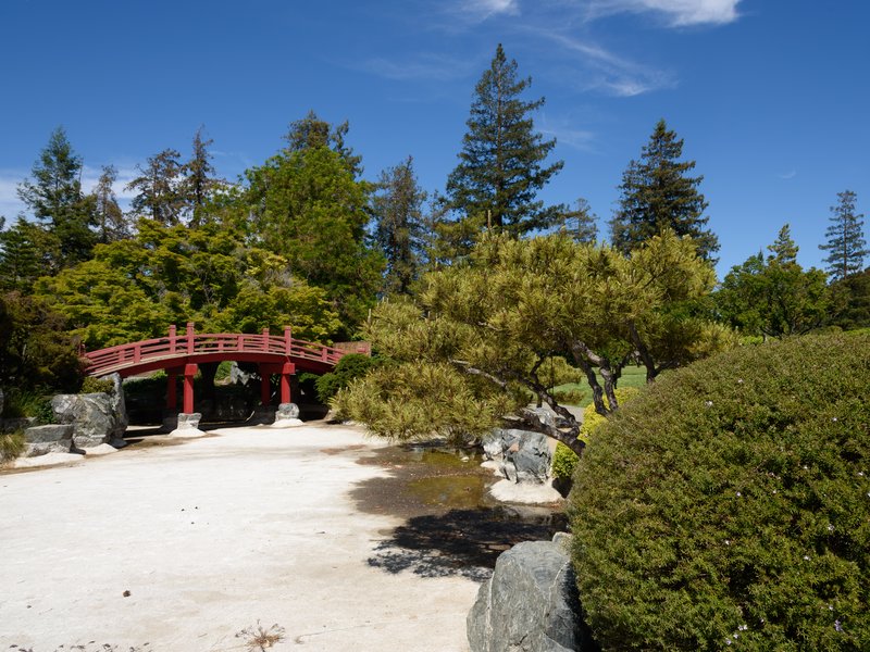 Japanese Friendship Garden