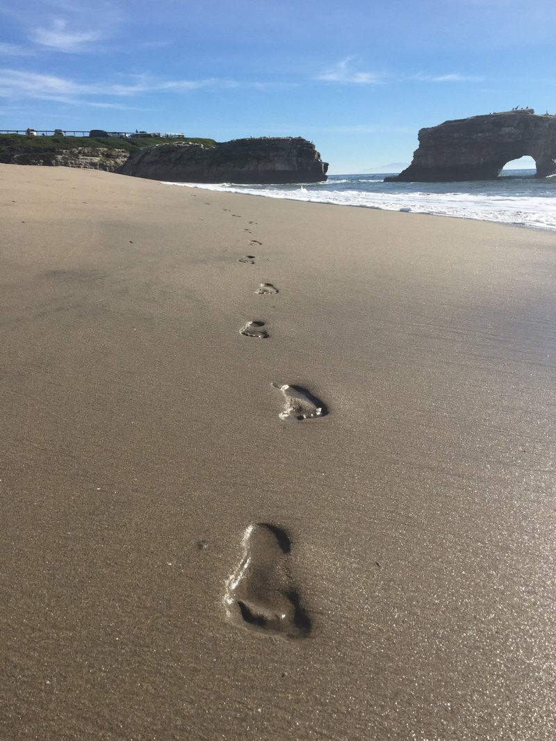 Natural Bridges State Beach — last remaining sandstone arch
