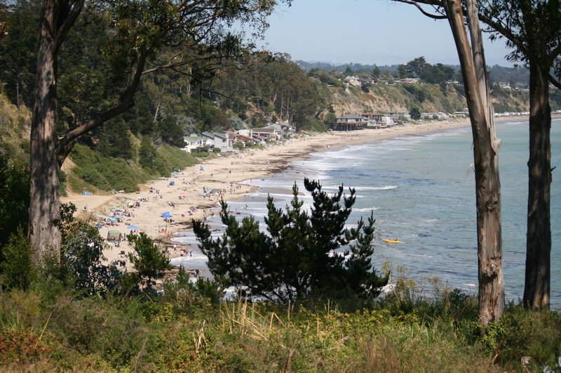 New Brighton State Beach bluffs