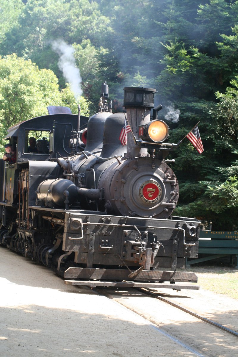 Steam locomotive at Roaring Camp Railroads