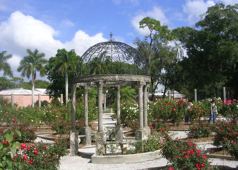 Ringling bayfront gardens banyan trees