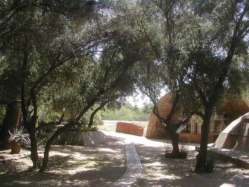 Cosanti