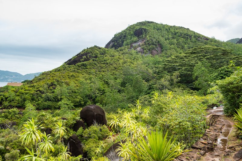 Anse Major Trail Mahé