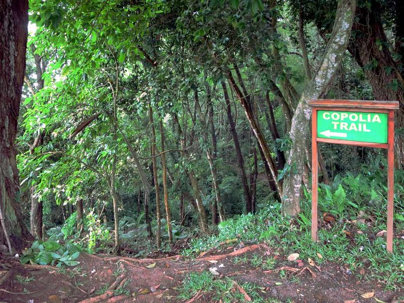 Copolia Trail Mahé