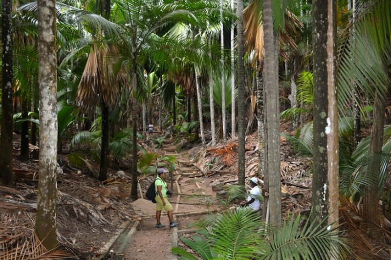 Fond Ferdinand Nature Reserve Praslin