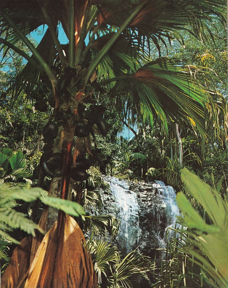 Vallée de Mai Praslin