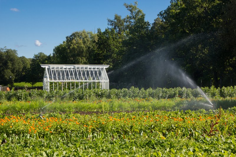 Rosendals Trädgård greenhouse