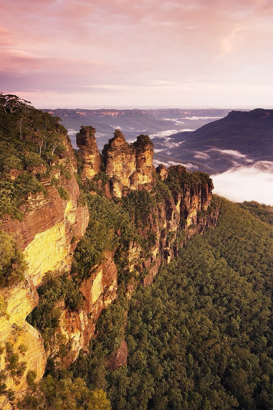 Blue Mountains view