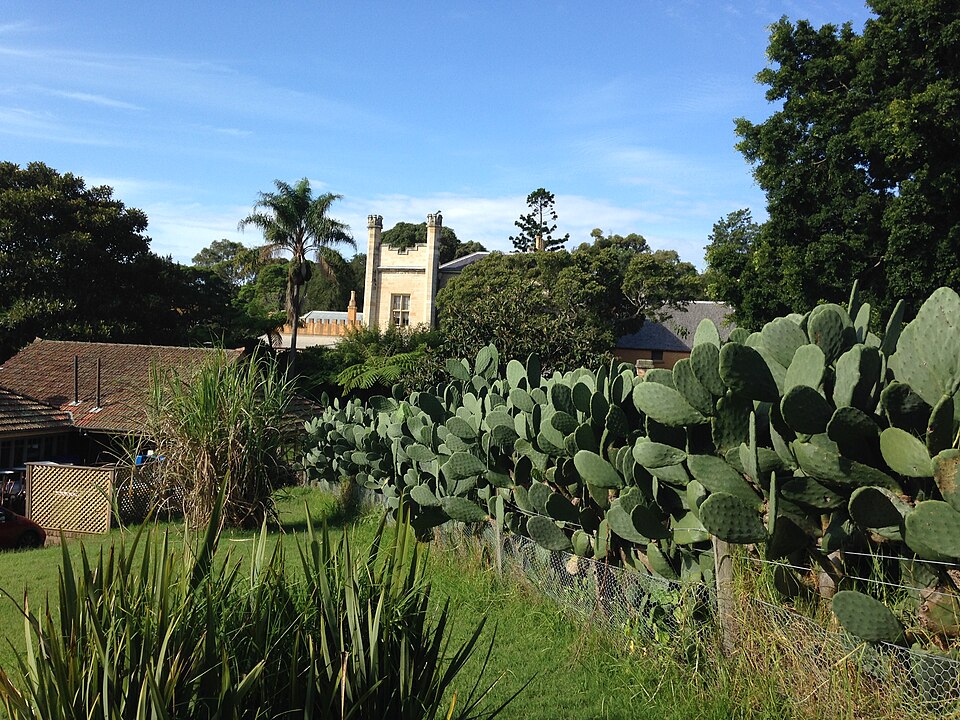 Vaucluse House Gothic Revival facade and estate grounds