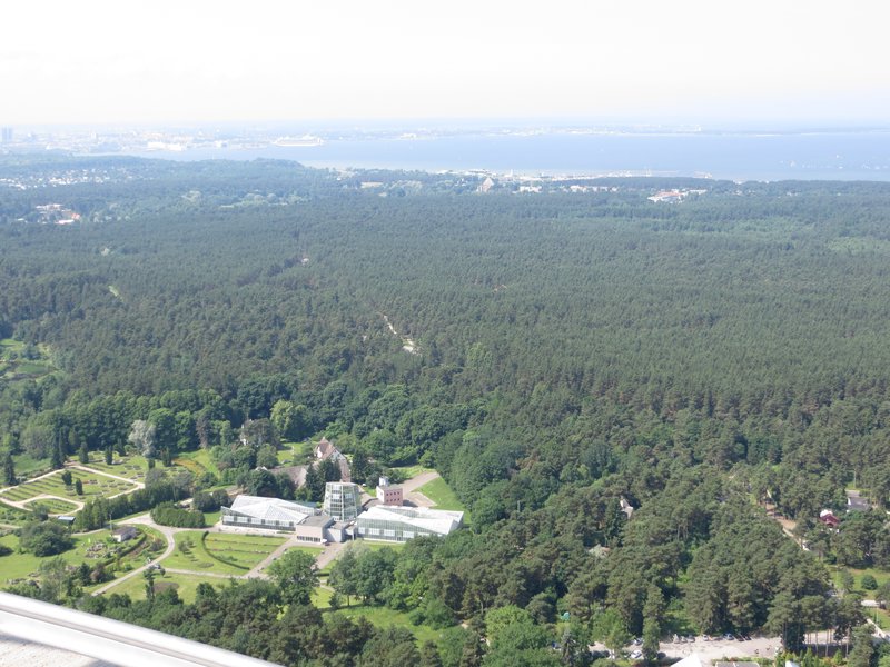 Tallinn TV Tower
