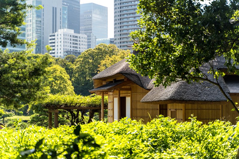 Hamarikyu Gardens