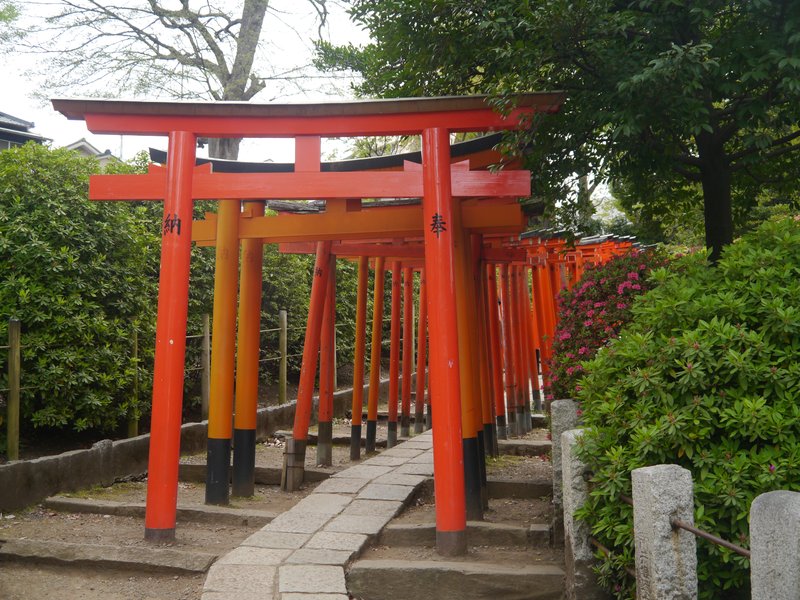 Nezu Shrine — vermilion torii gate tunnel