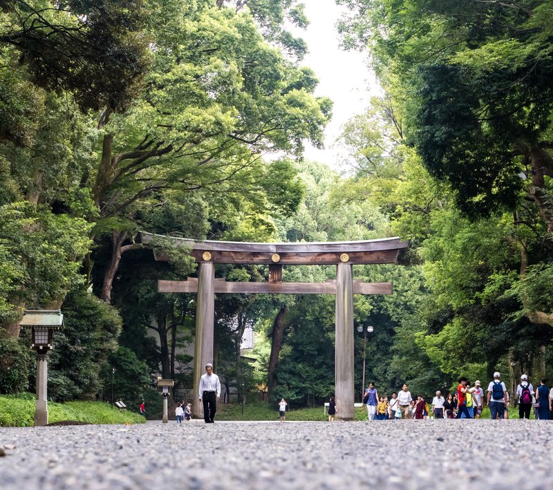 Meiji Shrine — Great Torii gate
