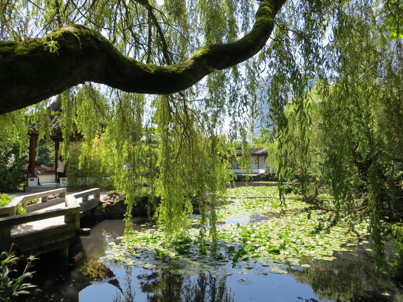 Dr. Sun Yat-Sen Classical Chinese Garden