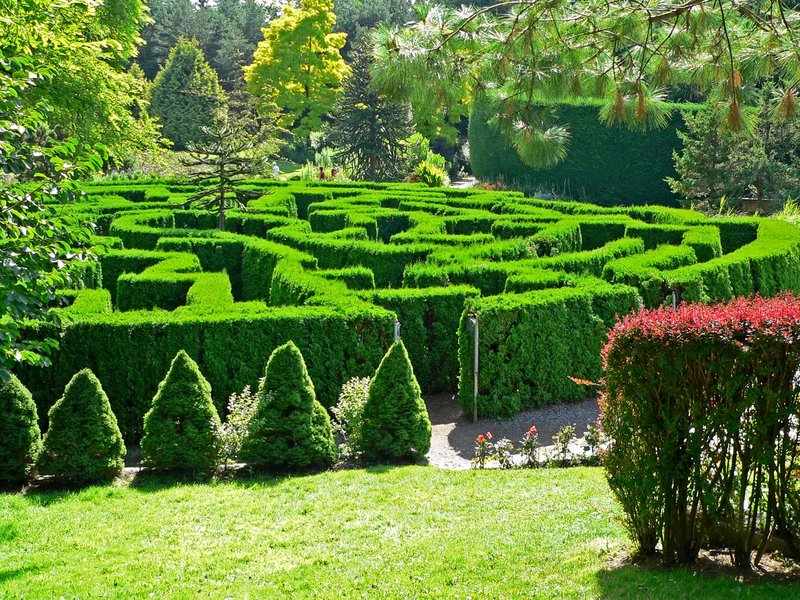 VanDusen Botanical Garden Elizabethan maze