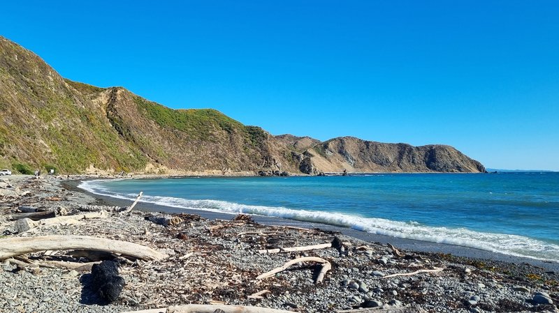 Mākara Beach