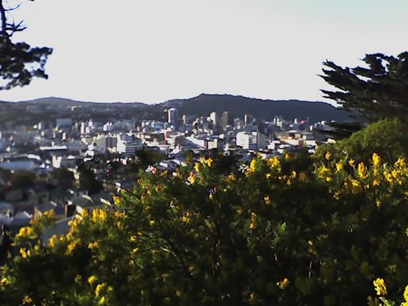 View from Mount Victoria