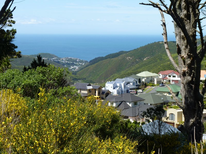 Owhiro Bay Wellington south coast