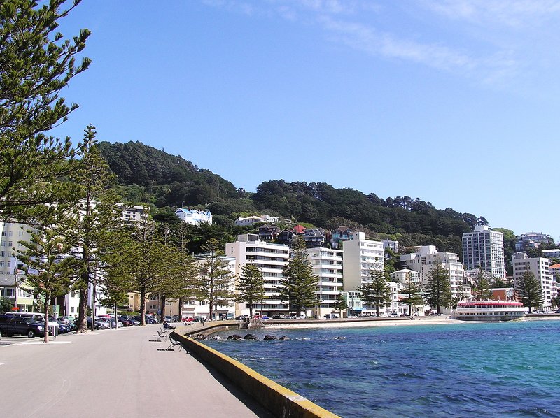 Oriental Bay beach and waterfront Wellington