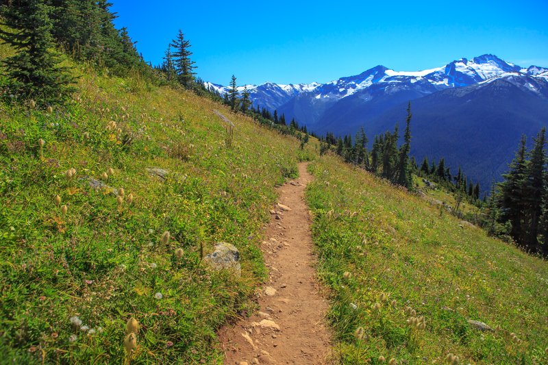 High Note Trail alpine ridgeline above the mountain