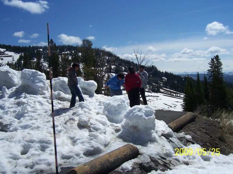 Dunraven Pass alpine meadows and views