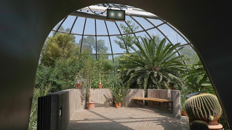 University Botanical Garden Zürich