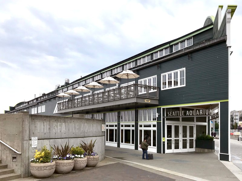Seattle Aquarium exterior on Pier 59