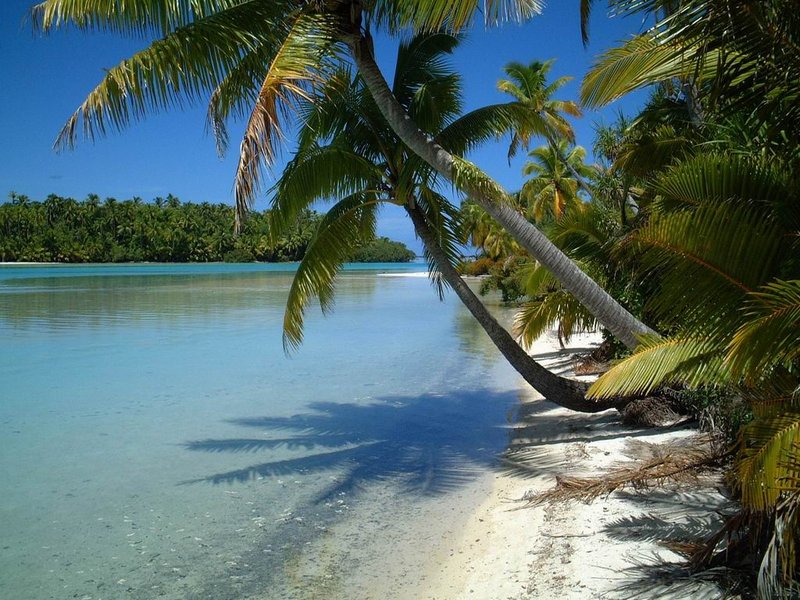 Palm-lined shore of the Aitutaki lagoon, Cook Islands, with shallow turquoise water