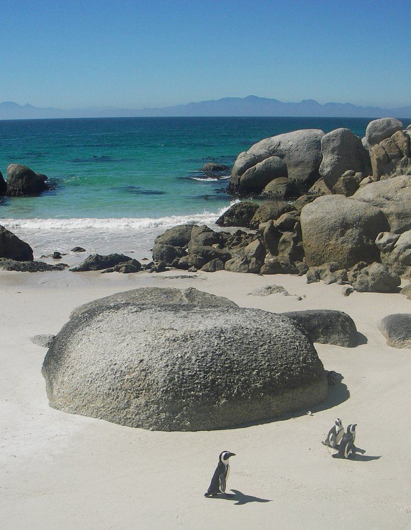 Boulders Beach granite boulders with African penguins, Simon's Town