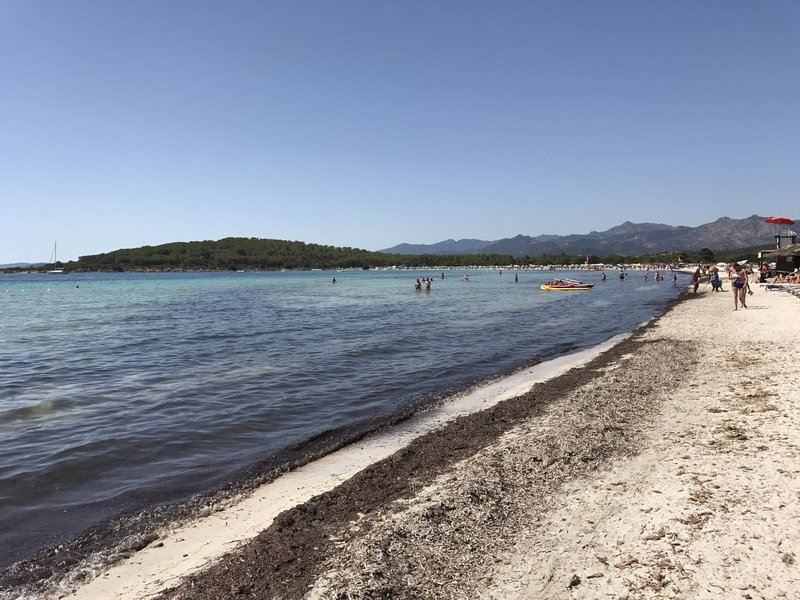 White-sand bay and pine-backed turquoise shallows at Cala Brandinchi, Sardinia