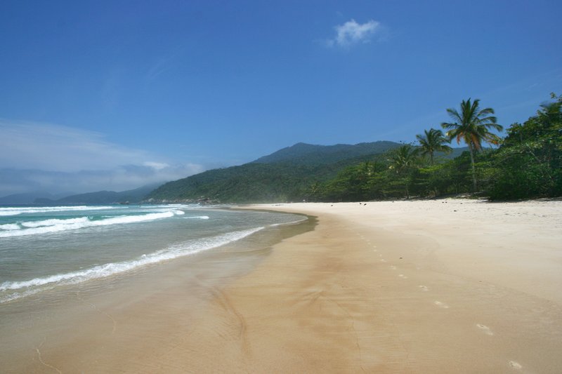 White-sand beach backed by Atlantic rainforest on Ilha Grande
